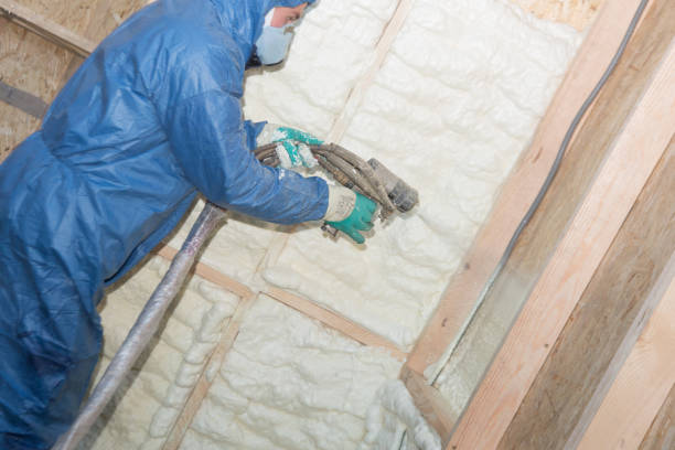 Best Spray Foam Insulation  in Barton, NM